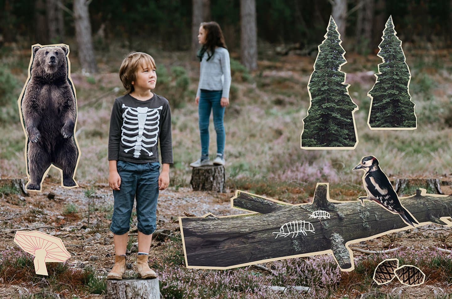 To barn står på stubber i en skog. Rundt dem er illustrerte utsnitt av skogelementer som bjørn, trær, fugl, sopp og insekter, som gir et lekent og pedagogisk uttrykk.