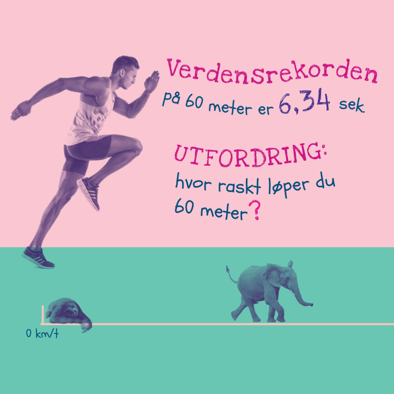 Verdensrekord.png